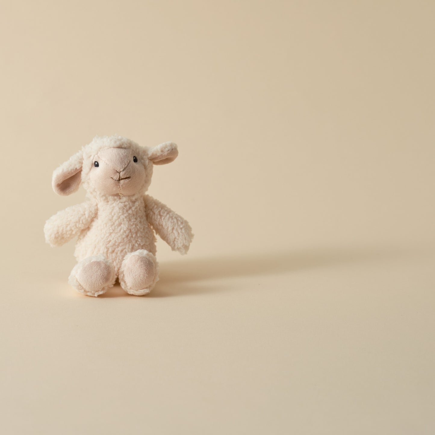Treasured New Beginnings