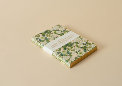 Bespoke Letterpress - Wellness Notebook set of 4